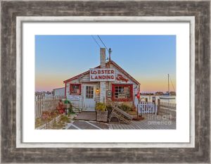 Lobster Landing Lobster Pound Shack Restaurant – Dogford Studios