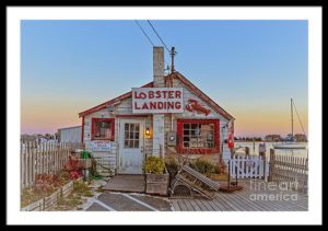 Lobster Landing Lobster Pound Shack Restaurant – Dogford Studios