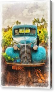 Old Vintage Pickup Truck at the California Winery – Dogford Studios